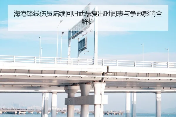 海港锋线伤员陆续回归武磊复出时间表与争冠影响全解析