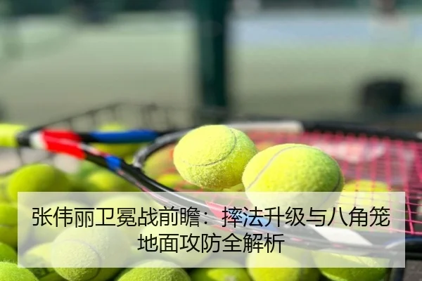 张伟丽卫冕战前瞻：摔法升级与八角笼地面攻防全解析